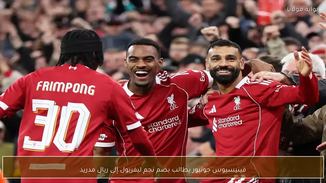 فينيسيوس جونيور يضغط على إدارة ريال مدريد لضم نجم فريق ليفربول الحالي